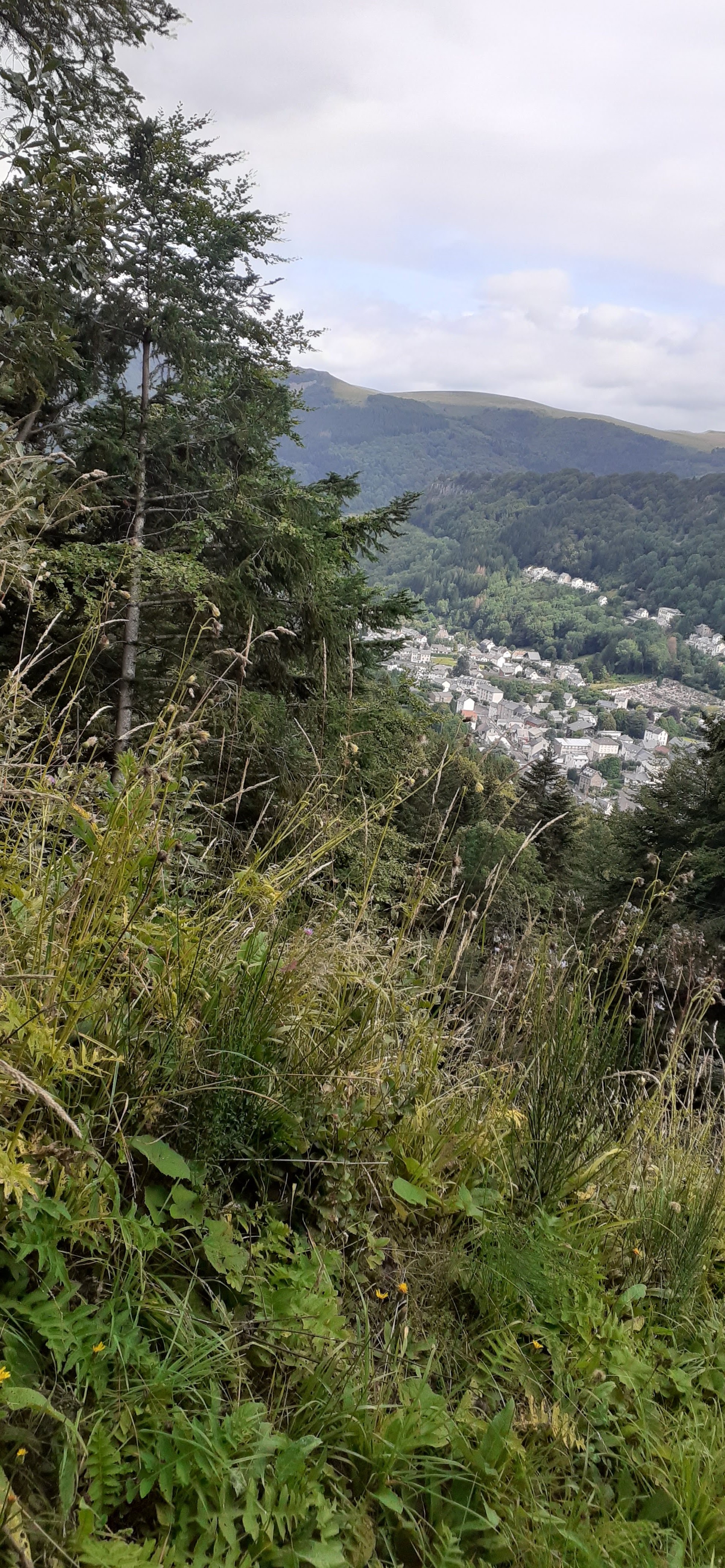 Photo n° 7 de l'avis de Helene.a fait le 20/08/2023 à 22:47