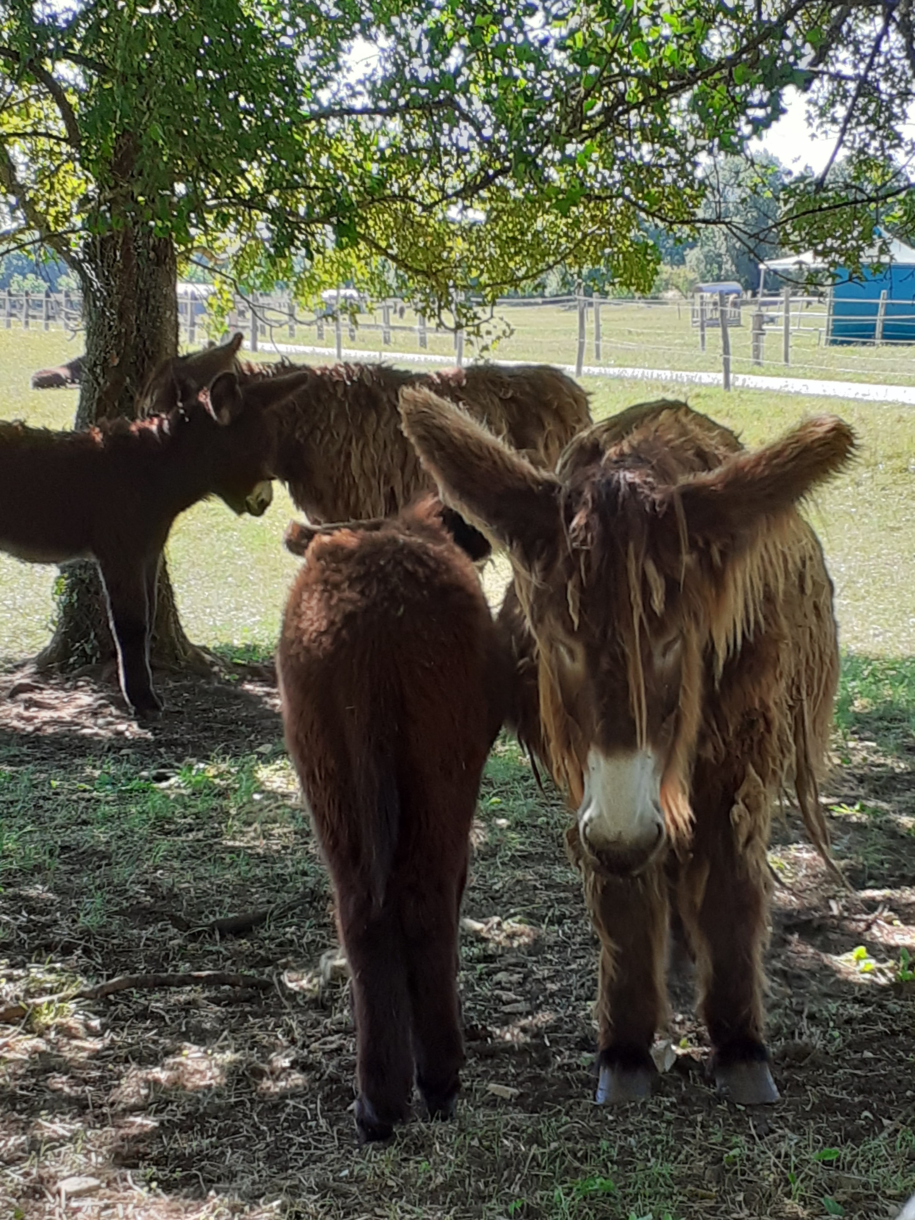 Photo n° 1 de l'avis de Laurence.o fait le 11/07/2022 à 10:17