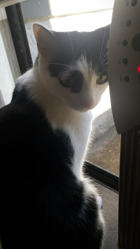 Pet Supply Store «Petco Animal Supplies», reviews and photos, 742 New Los Angeles Ave a, Moorpark, CA 93021, USA