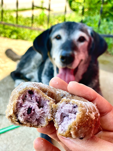 Donut Shop «Clifton Donut Shop», reviews and photos, 2317 Brownsboro Rd, Louisville, KY 40206, USA