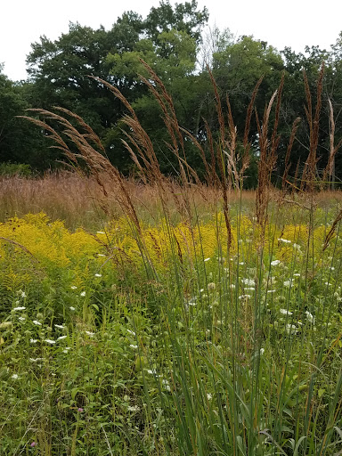 Nature Preserve «Thaddeus S. 