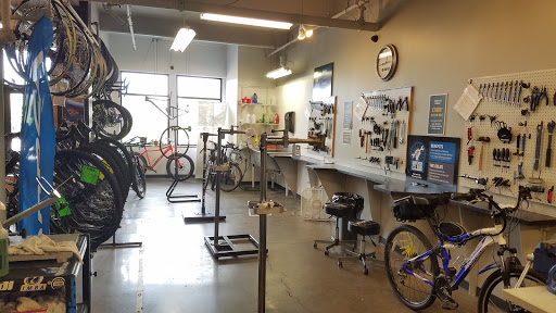 Bicycle Store «Tryon Bike», reviews and photos, 80 Rockwood Pl Suite 112, Rochester, NY 14610, USA