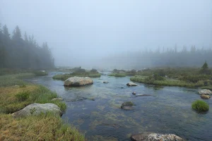 Circle Park Trailhead image