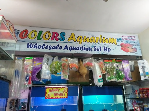 Colors Aquarium