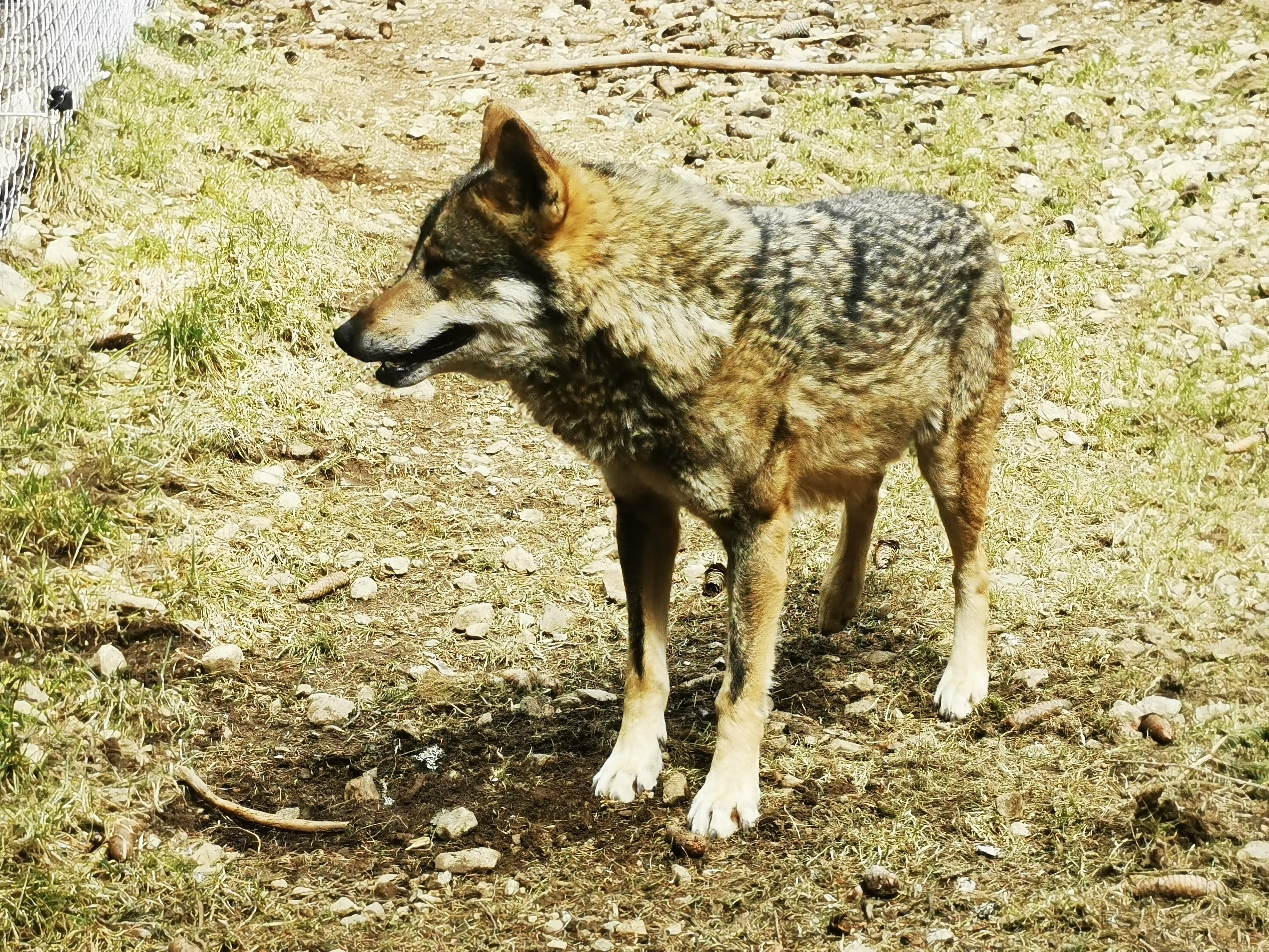 Photo n° 4 de l'avis de Guillaume.e fait le 05/04/2023 à 17:20