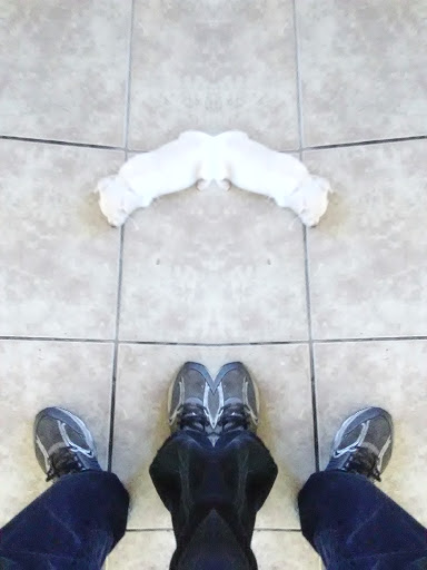 Thrift Store «Rad Thrift Store», reviews and photos