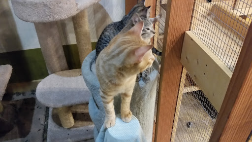 Pet Store «Next to Nature», reviews and photos, 4543 California Ave SW, Seattle, WA 98116, USA