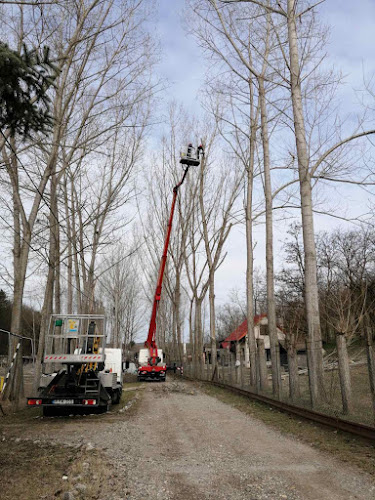 Hozzászólások és értékelések az Favágás - Fakivágás TREE SERVICE-ról