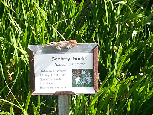 History Museum «Fulton Mansion State Historic Site», reviews and photos, 317 Fulton Beach Rd, Rockport, TX 78382, USA