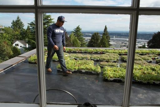 Roofing Contractor «Pioneer Roofers», reviews and photos, 818 SW 3rd Ave #417, Portland, OR 97204, USA