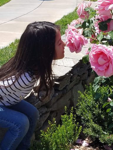 Park «Bridgeport Park», reviews and photos, 23520 Bridgeport Ln, Santa Clarita, CA 91355, USA