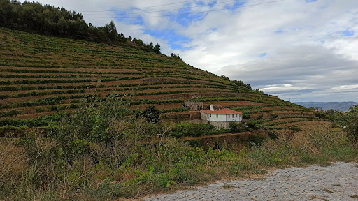 Quinta do Porto