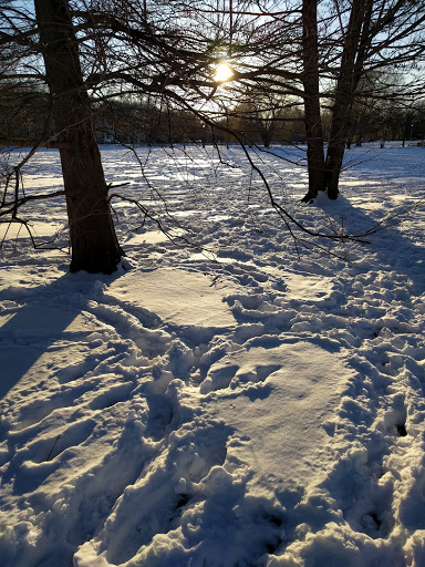 Park «Winnemac Park», reviews and photos, 5100 N Leavitt St, Chicago, IL 60625, USA