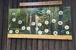 Waldzentrum Natur.Erlebnis.Sindelfingen. image
