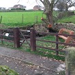 Historic well and washing trough