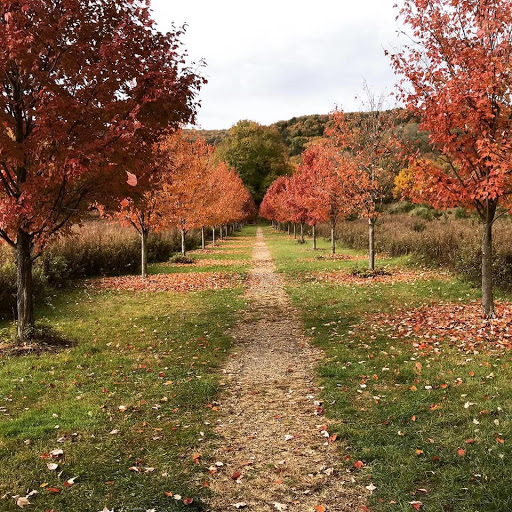 Tourist Attraction «Dover Stone Church», reviews and photos, 3128 NY-22, Dover Plains, NY 12522, USA