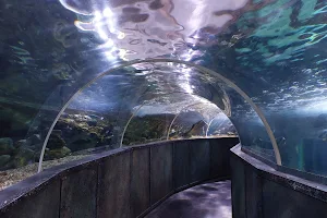 Grand Aquarium de Touraine image