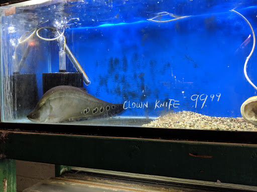 Pet Supply Store «Monrovia Tropical Fish», reviews and photos, 603 W Huntington Dr, Monrovia, CA 91016, USA