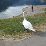 Photo n°2 de l'avis de Marino.a fait le 28/10/2017 à 10:49 sur le  Trattoria della Vigna à Porlezza