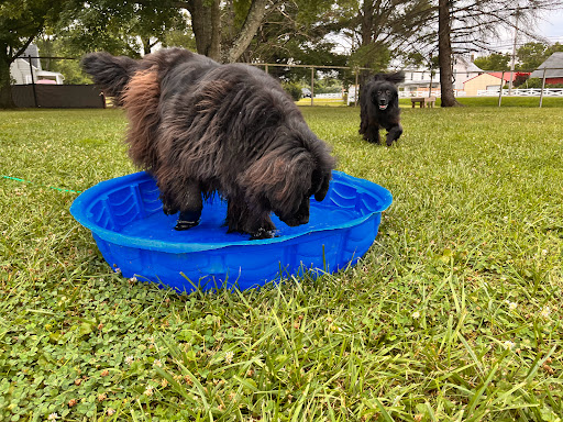 Go-Kart Track «Appleland Sports Center», reviews and photos, 4490 Valley Pike, Stephens City, VA 22655, USA