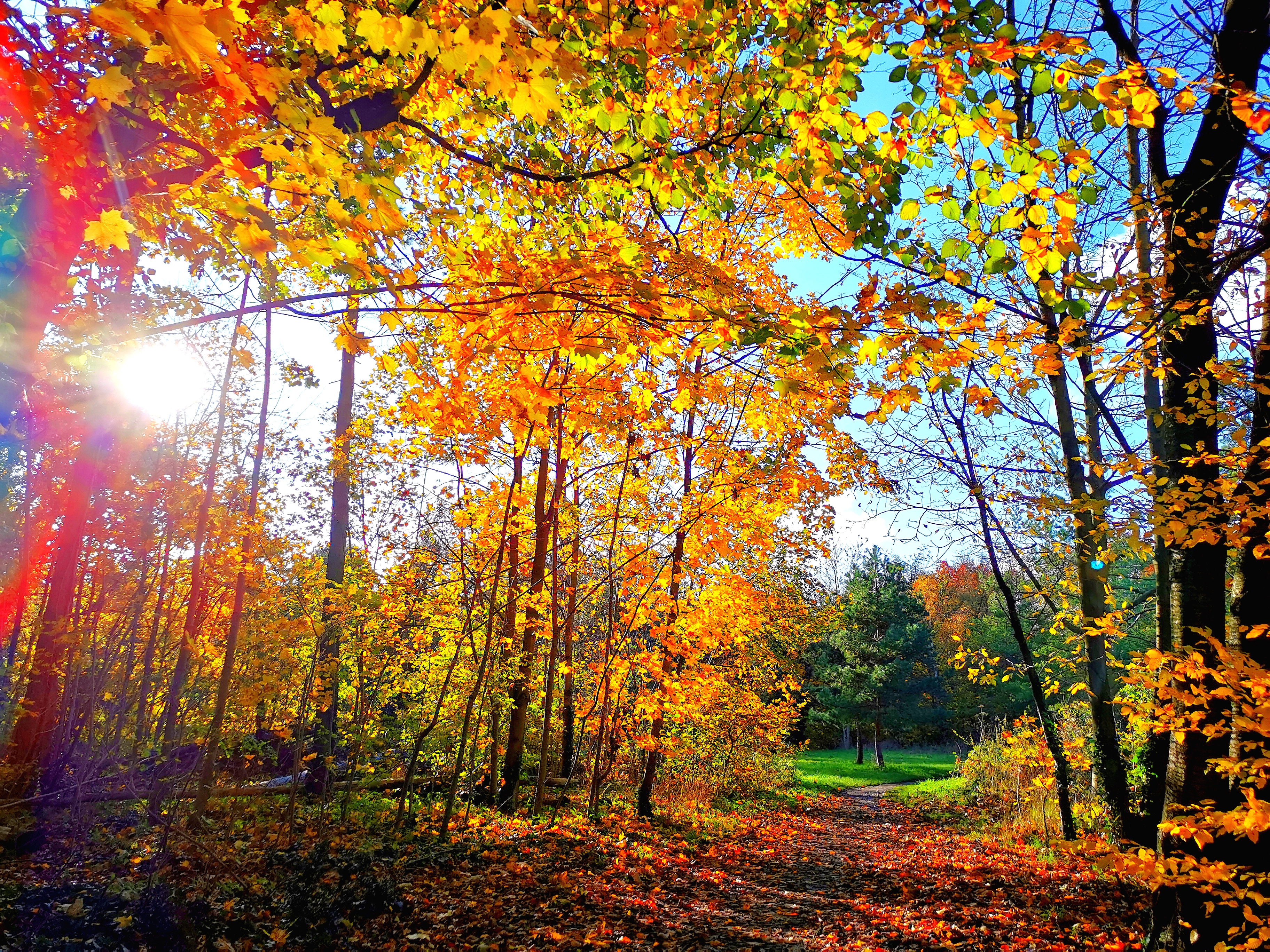 Photo n° 1 de l'avis de Süksön.i fait le 24/03/2022 à 04:33