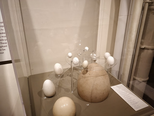 Museum «Peabody Museum of Archaeology and Ethnology», reviews and photos, 11 Divinity Ave, Cambridge, MA 02138, USA