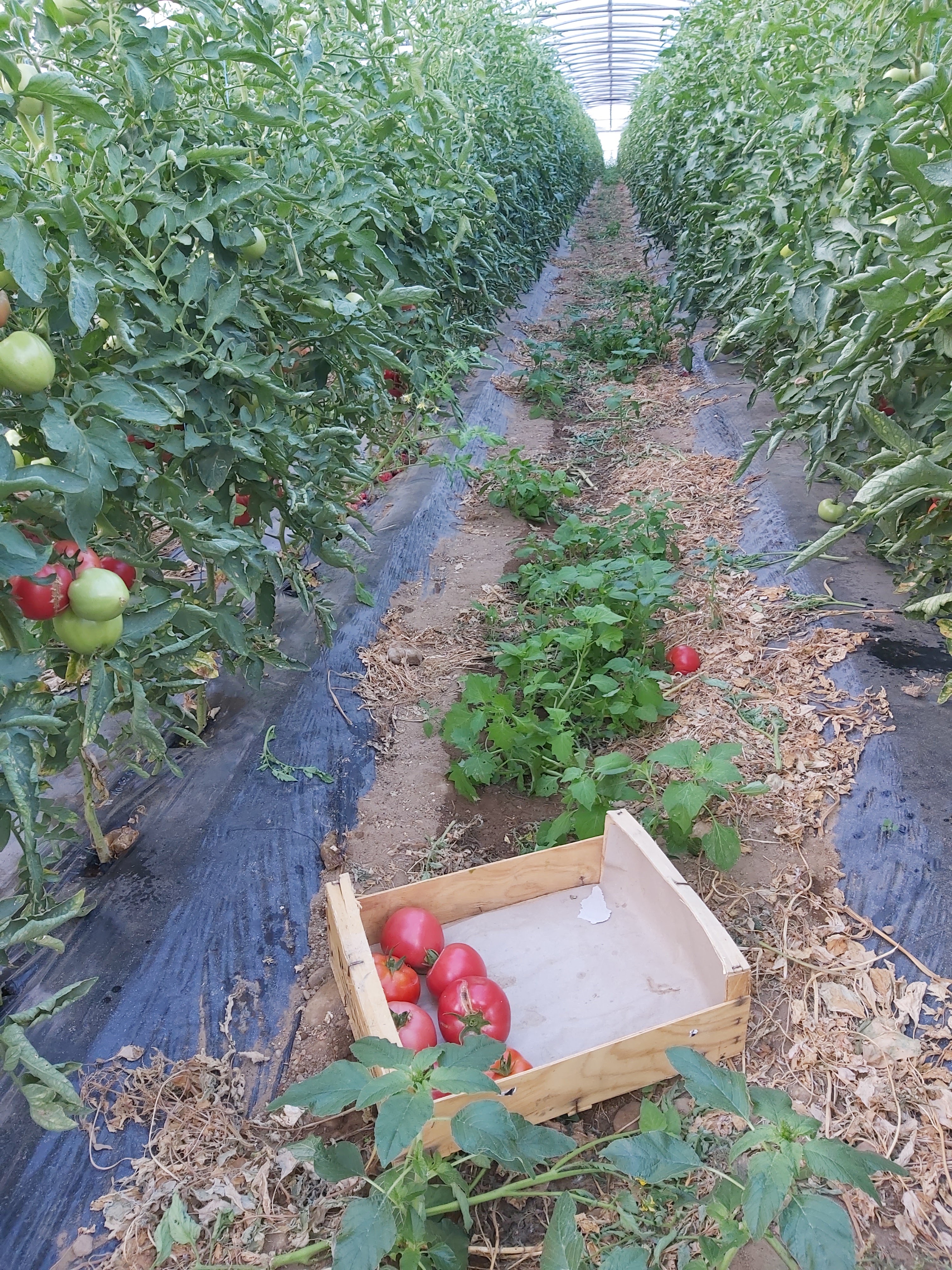 Photo n° 2 de l'avis de Fabrice.a fait le 21/08/2022 à 08:14