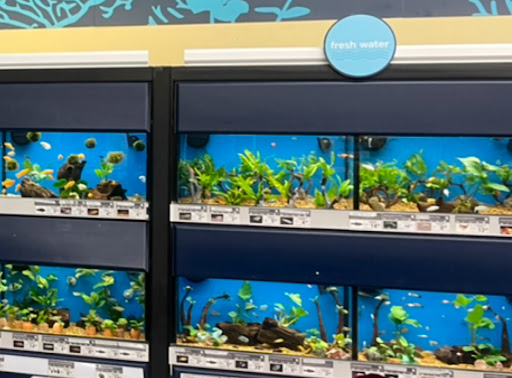 Pet Supply Store «Petco Animal Supplies», reviews and photos, 877 Central Ave, Dover, NH 03820, USA