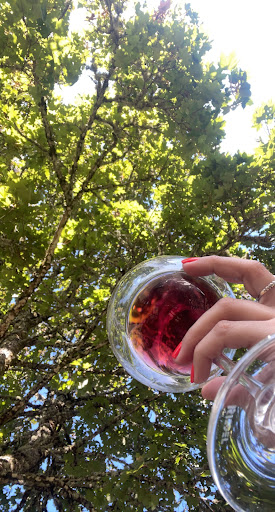 Vineyard «Tualatin Estate Vineyard», reviews and photos, 10850 NW Seavey Rd, Forest Grove, OR 97116, USA