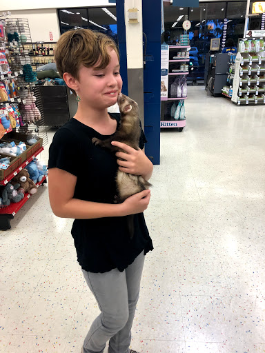 Pet Supply Store «Petco Animal Supplies», reviews and photos, 13127 N Dale Mabry Hwy, Tampa, FL 33618, USA