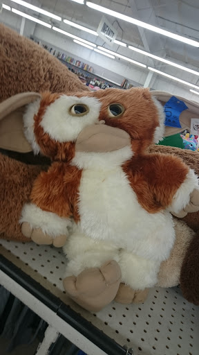 Thrift Store «Red White & Blue Thrift Store», reviews and photos, 19239 SE McLoughlin Blvd, Gladstone, OR 97027, USA