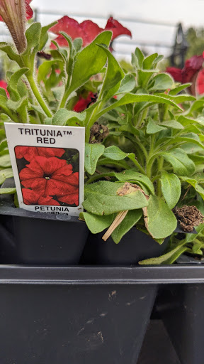 Hardware Store «Ace Park Ridge Inc», reviews and photos, 700 N Northwest Hwy, Park Ridge, IL 60068, USA