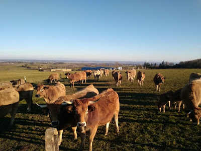 Ferme de Loutre à Les Haies