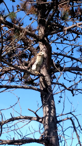 Golf Course «Yahara Hills Golf Course», reviews and photos, 6701 US-12, Madison, WI 53718, USA