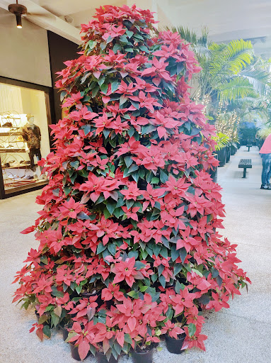 Department Store «Saks Fifth Avenue», reviews and photos, 9700 Collins Ave, Bal Harbour, FL 33154, USA