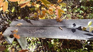 George Owens Nature Park - photo 35