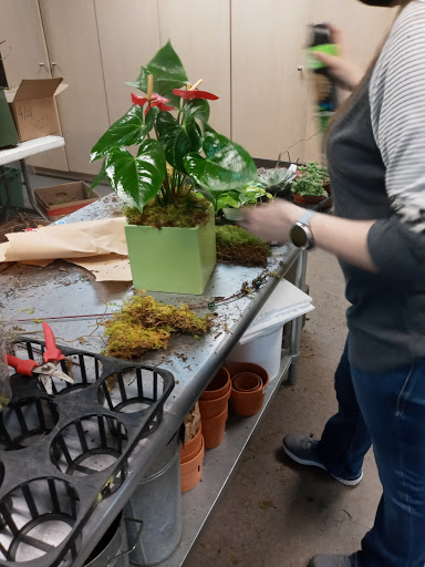 Florist «Dr Delphinium Flower & Orchid House», reviews and photos, 513 W Campbell Rd, Richardson, TX 75080, USA