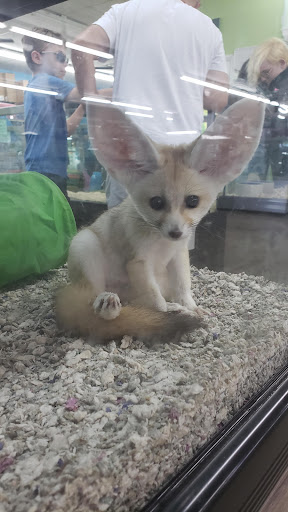 Pet Store «Incredible Pets Inc», reviews and photos, 2255 N Wickham Rd # 102, Melbourne, FL 32935, USA