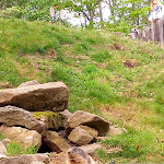 Photo n° 4 de l'avis de Philippe.U fait le 07/05/2023 à 11:21 pour Parc de Courzieu à Courzieu