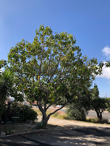 La Crescenta Motel image