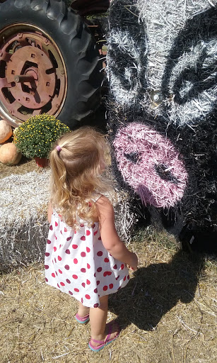 Tourist Attraction «Sugar Hill U-pick Farms», reviews and photos, 3595 Co Rd 59, Verbena, AL 36091, USA