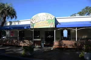 Iguanas image