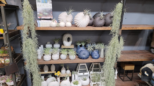 Hardware Store «Chase Ace Hardware Garden & Gift Emporium», reviews and photos, 1826 4th St, San Rafael, CA 94901, USA