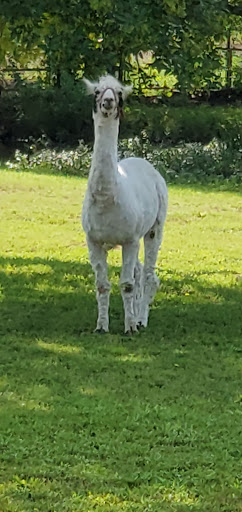 Park «Bob Findlay Linear Park», reviews and photos, 900 Findlay Dr, Arlington, TX 76012, USA