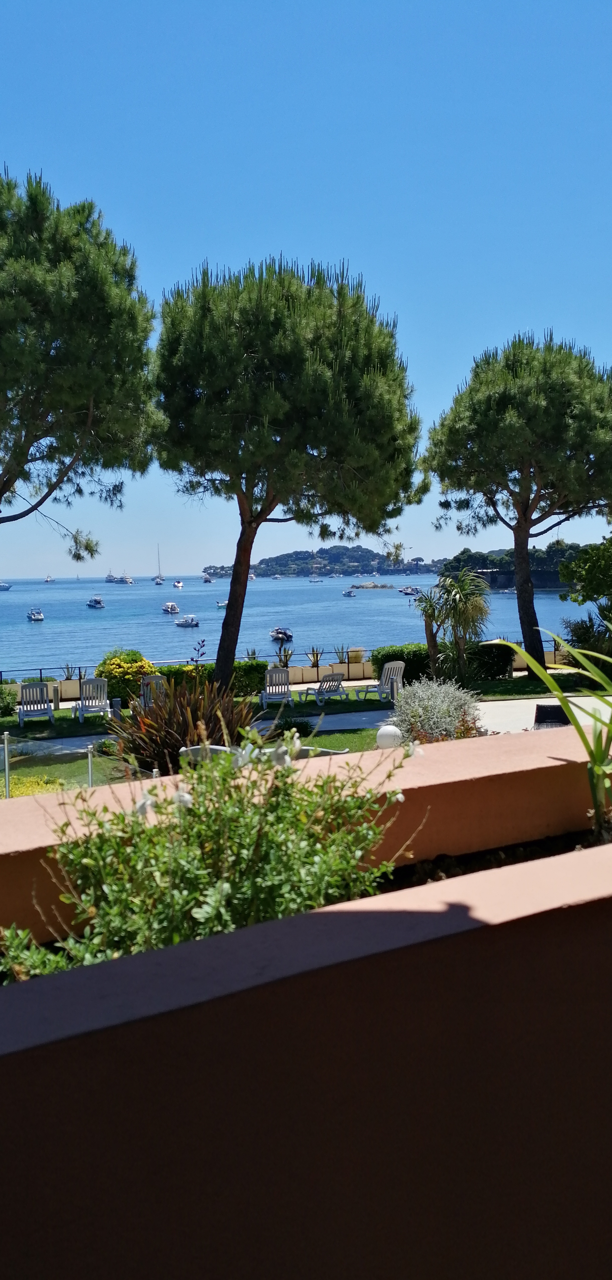 Photo n° 2 de l'avis de Bibou.6 fait le 01/06/2019 à 12:54