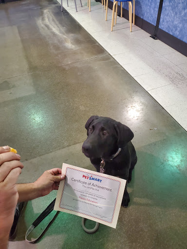 Pet Supply Store «PetSmart», reviews and photos, 2705 E Bidwell St, Folsom, CA 95630, USA