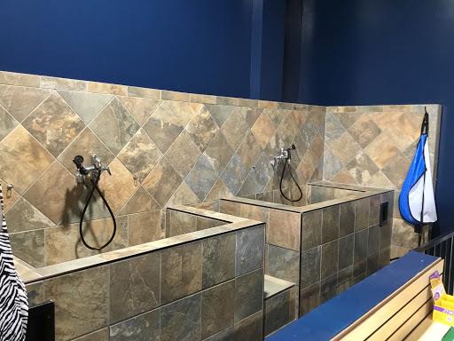 Pet Store «Everything Pet», reviews and photos, 3616 N Fry Rd, Katy, TX 77449, USA