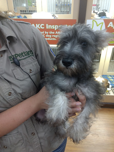 Pet Store «Petland», reviews and photos, 1600 Turner McCall Blvd, Rome, GA 30161, USA