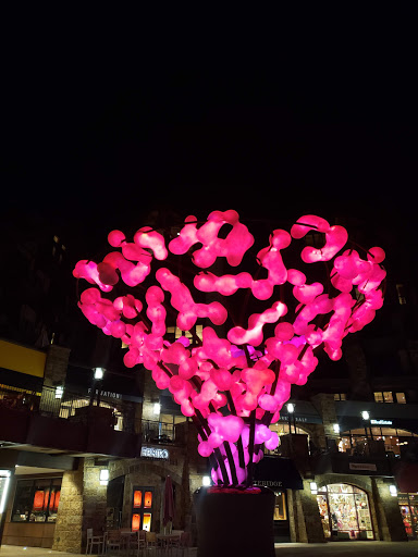 Restaurant «Bol», reviews and photos, 141 E Meadow Dr #113, Vail, CO 81657, USA