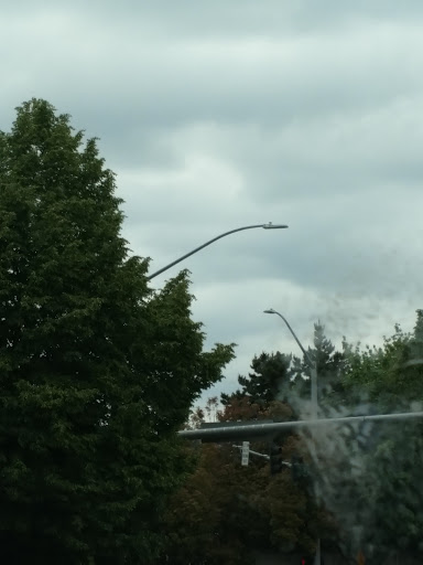 Dog Park «Chapin Park», reviews and photos, 338 Warner Parrott Rd, Oregon City, OR 97045, USA